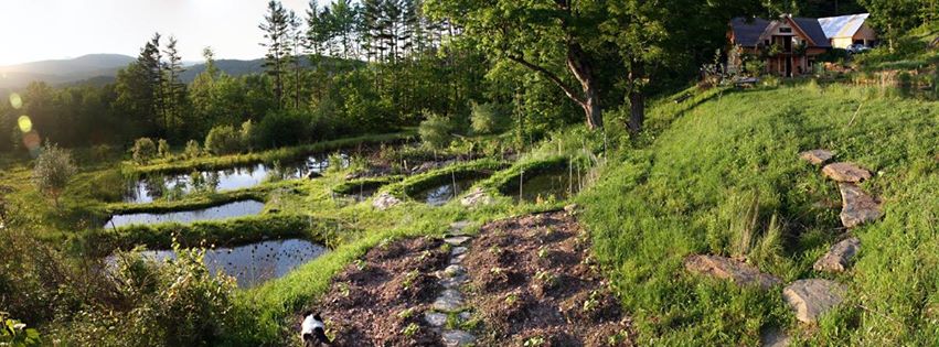 Multiple Planting and Topography